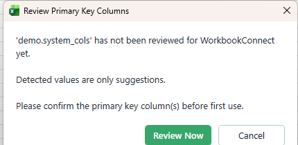 A Review Primary Key Columns prompt explaining that the table has not been reviewed yet and that detected values are only suggestions